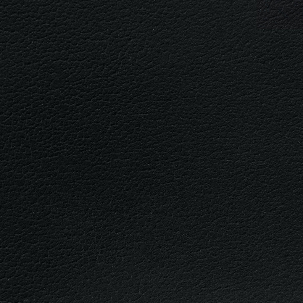 Shinto Black Leather Swatch