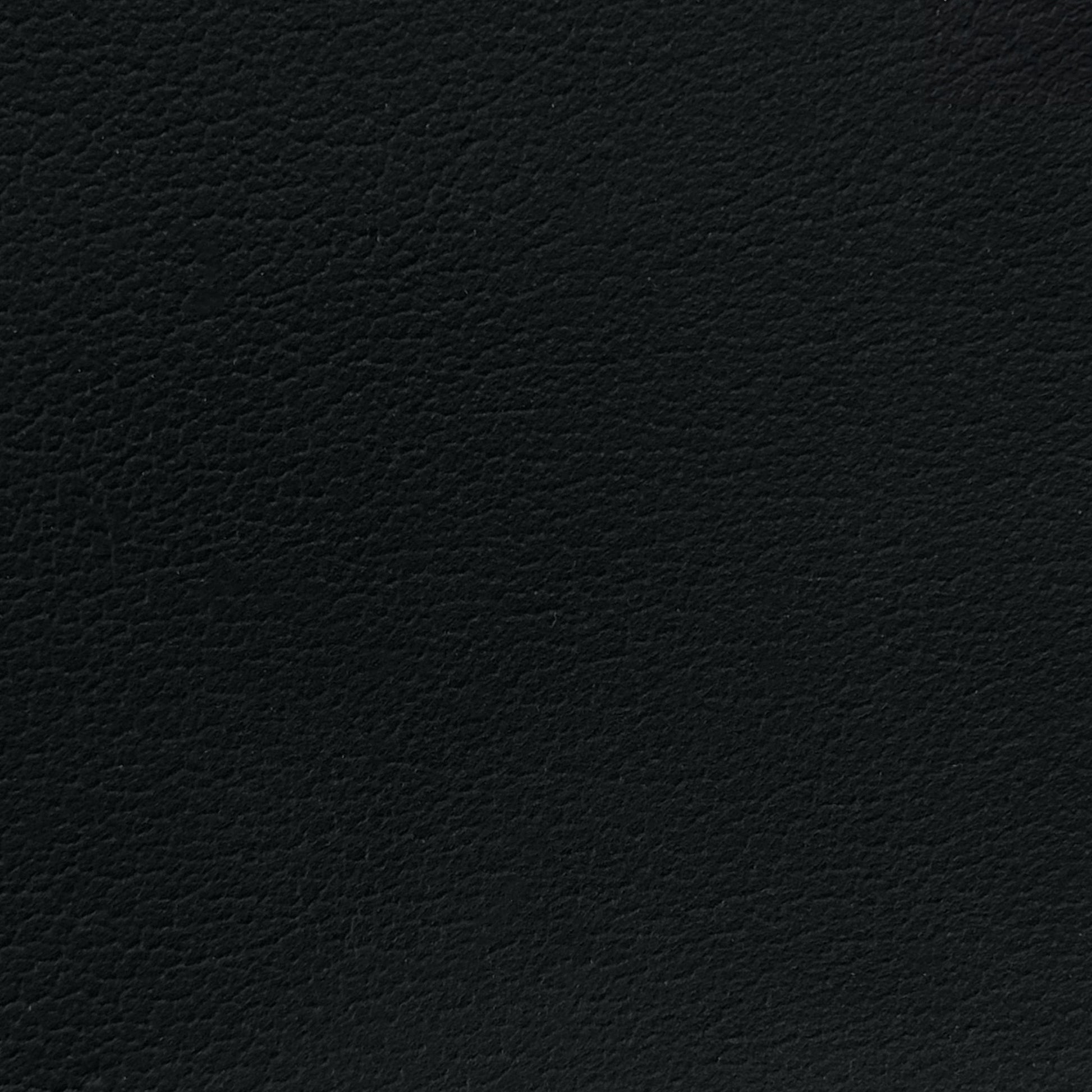 Shinto Black Leather Swatch